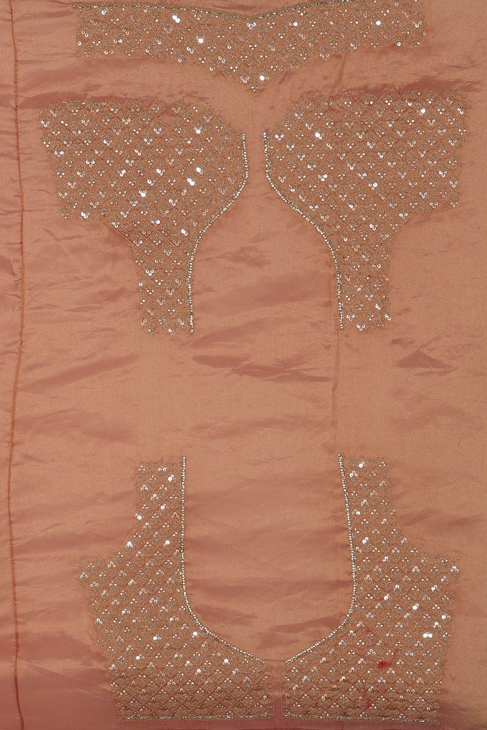 Image of Banarasi Tissue Organza Silver Saree